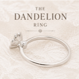 The Dandelion